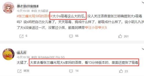 张兰爆料语音视频大全,揭秘真实事件背后的惊人内幕  第3张